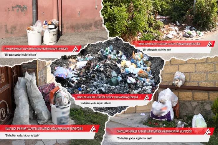 İsmayıllının mərkəzində zibil problemi