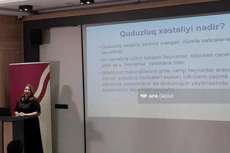 Azərbaycanda 1 nəfərdə quduzluq müşahidə edildi